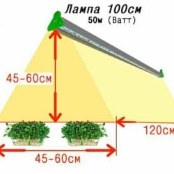 Фитолампа для растений MF100_50 Ватт. Длина 100 см